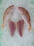  Red Mullet - Fillet 