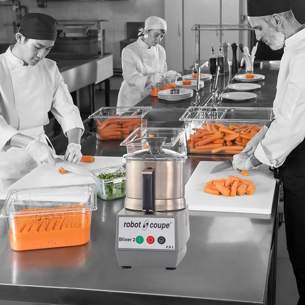MÁY XAY TRỘN THỰC PHẨM ROBOT COUPE - BLIXER 2