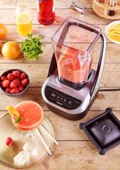 MÁY XAY SINH TỐ SANTOS 66