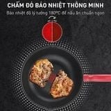  Chảo chiên chống dính đáy từ Tefal So Chef 24cm 