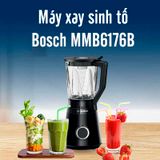  Máy xay sinh tố Bosch MMB6176B 