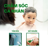  Combo 02 chai dung dịch diệt khuẩn khử mùi đa năng Dettol, 1L/chai 