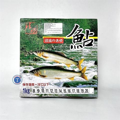  Cá Đắng Ayu 10 Con/ Kg (10h/t) 