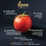  CÀ CHUA TRÁI CÂY GIỐNG NHẬT 250G 