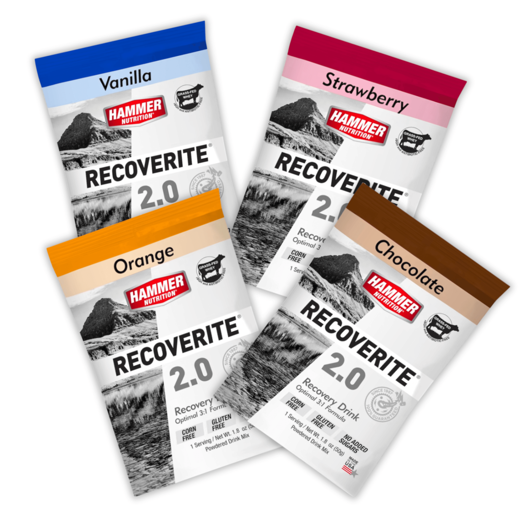 Bột bổ sung năng lượng HAMMER RECOVERITE 2.0