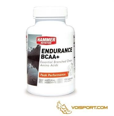 Hammer Nutrition Endurance BCAA+ hủ 120 viên