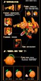  Robo Trái Cây Quýt Kiếm Sĩ & Quýt Ú Model Kit 