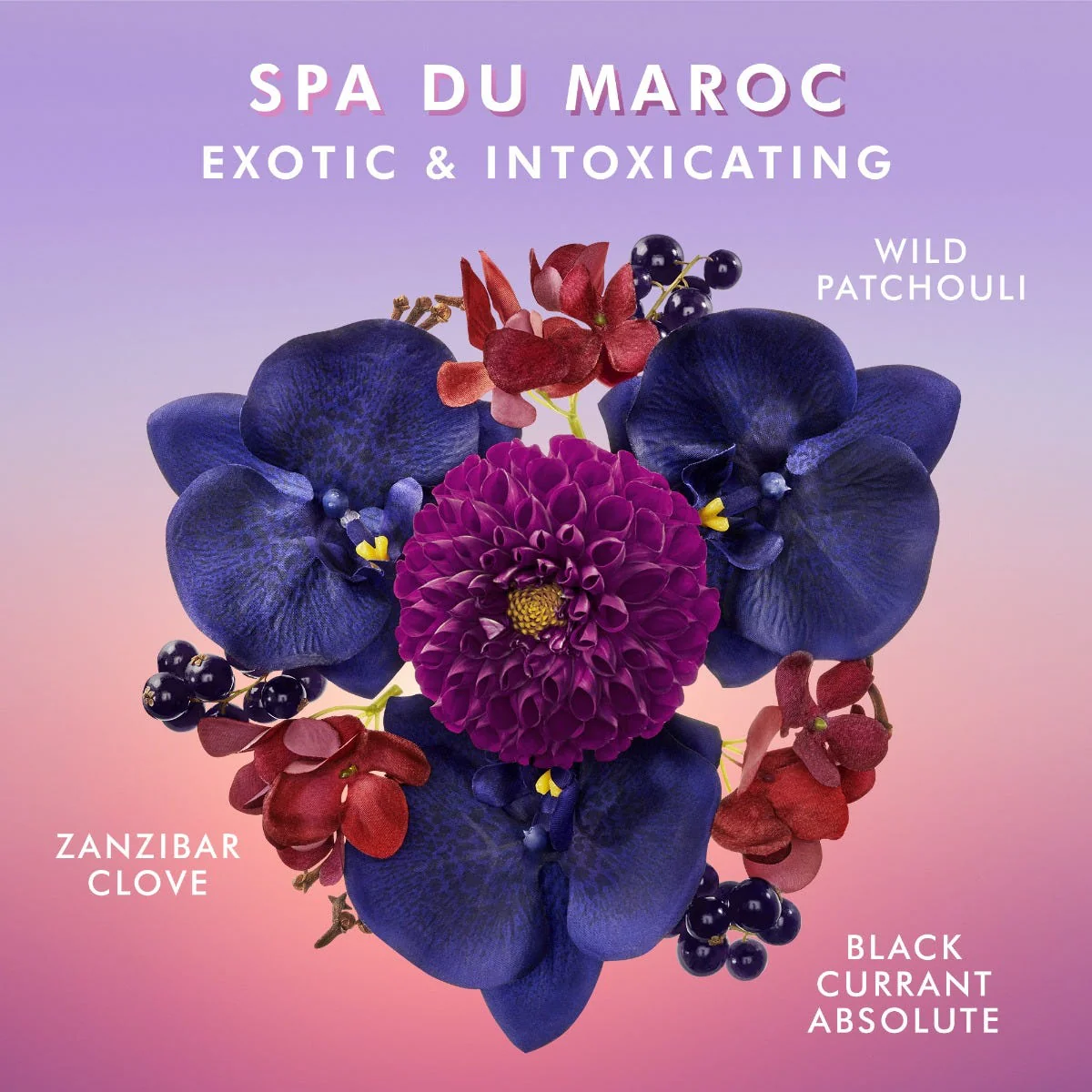  Sữa Tắm Hương Xứ Maroc - Shower Gel Spa Du Maroc 