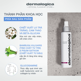  Antioxidant Hydramist Toner 