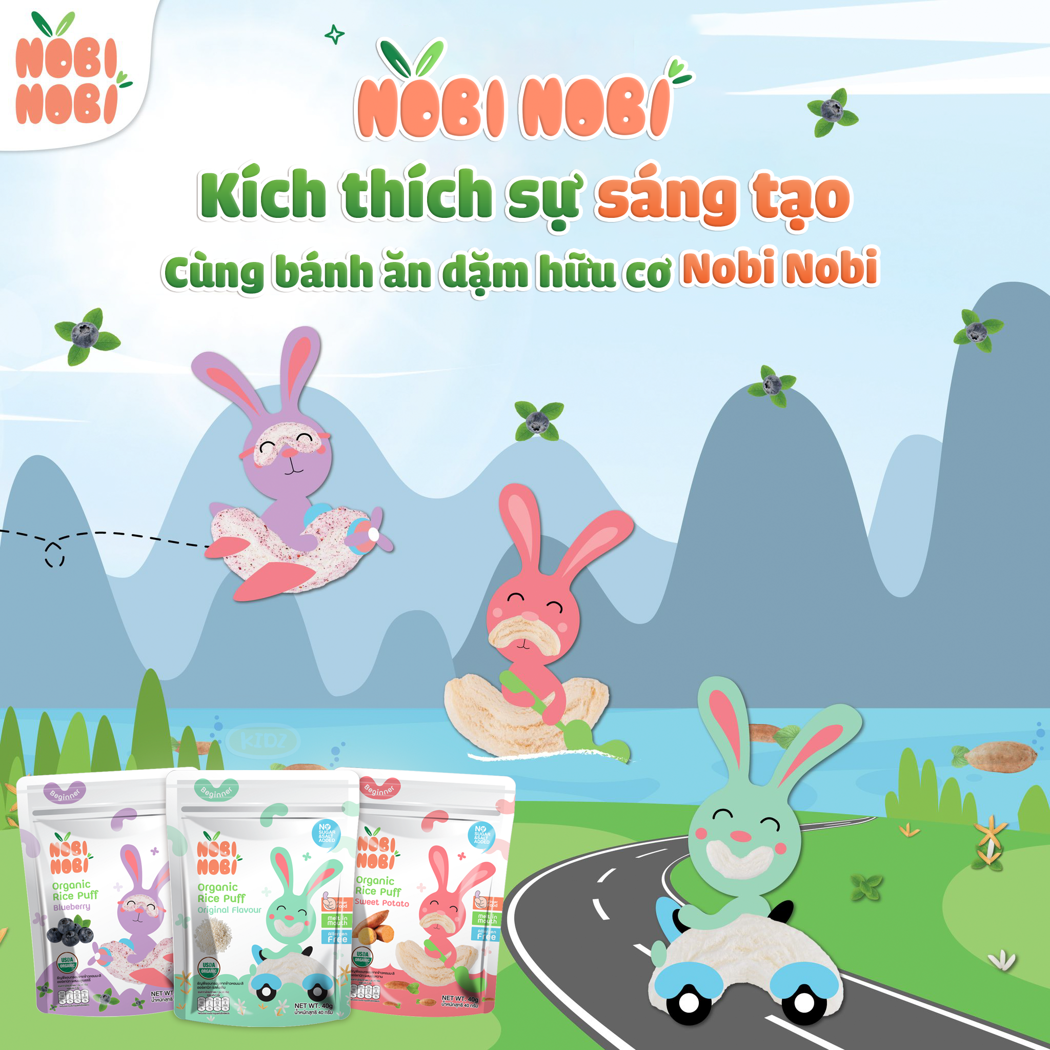 Thực phẩm bổ sung bánh gạo ăn dặm hữu cơ cho bé Nobi Nobi vị việt quất 40g (Từ 6 tháng tuổi)