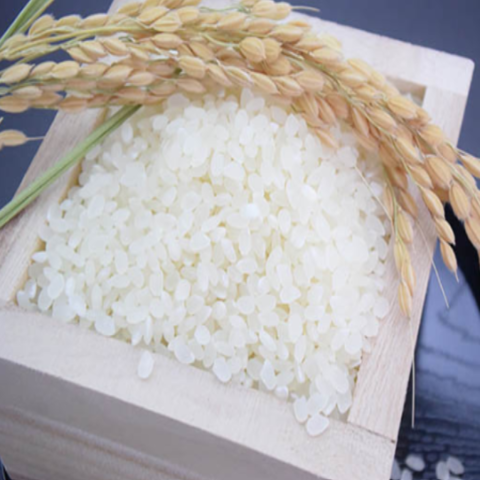 Gạo đặc biệt Niigata Koshihikari nhập khẩu Nhật Bản (Gạo không vo) 2kg