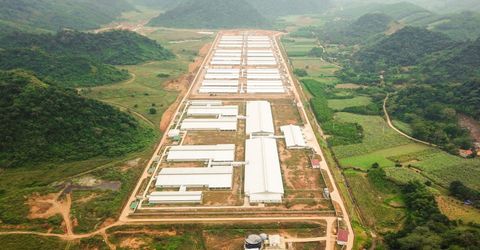 TRANG TRẠI NUÔI GIA SÚC NEWHOPE THANH HÓA