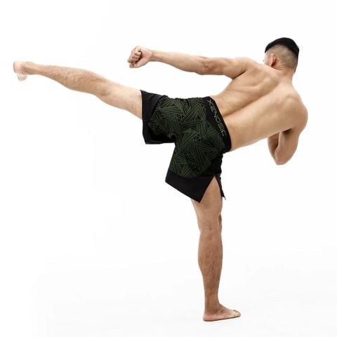  Quần Tập MMA Shorts Xenosic Triangle 