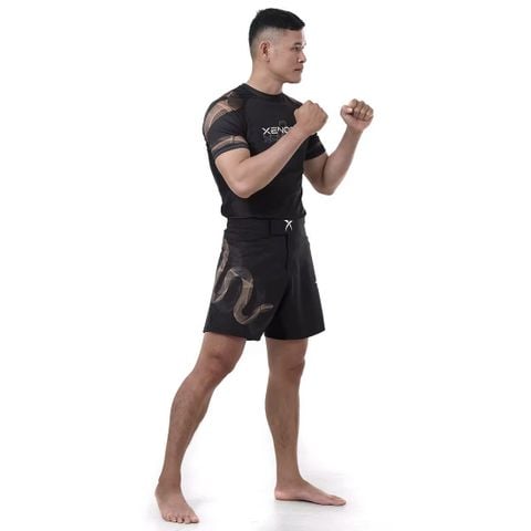  ÁO TẬP MMA GOLDEN SNAKE RASHGUARD 