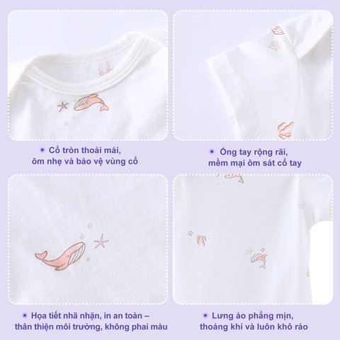  Set 3 Bodysuit ngắn tay tam giác cotton cho bé 0-12 tháng hiên bản mỏng cho mùa hè 