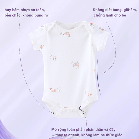  Set 3 Bodysuit ngắn tay tam giác cotton cho bé 0-12 tháng hiên bản mỏng cho mùa hè 