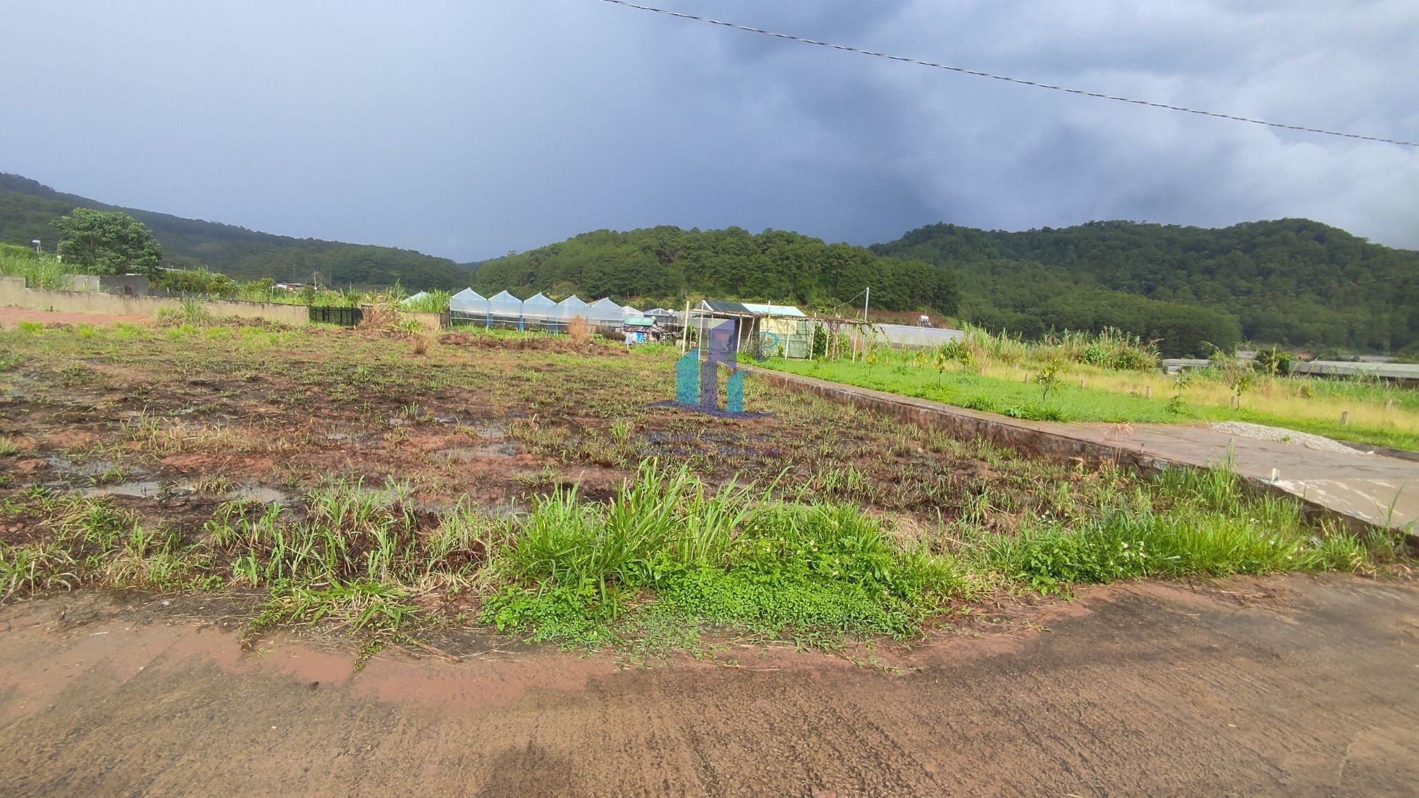  Bán Đất Nông nghiệp hẻm xe hơi đường Mimosa, Phường 10, Đà Lạt 506m 