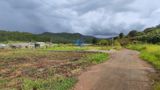  Bán Đất Nông nghiệp hẻm xe hơi đường Mimosa, Phường 10, Đà Lạt 506m 