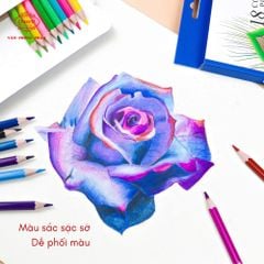 Bút chì màu Queen (Nữ Hoàng) - 12/18/24 Màu - CP-H12/CP-H18/CP-H24 - Chính Hãng