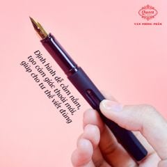 Bút máy Queen ngòi trơn FP17-1 (12 Màu bút)