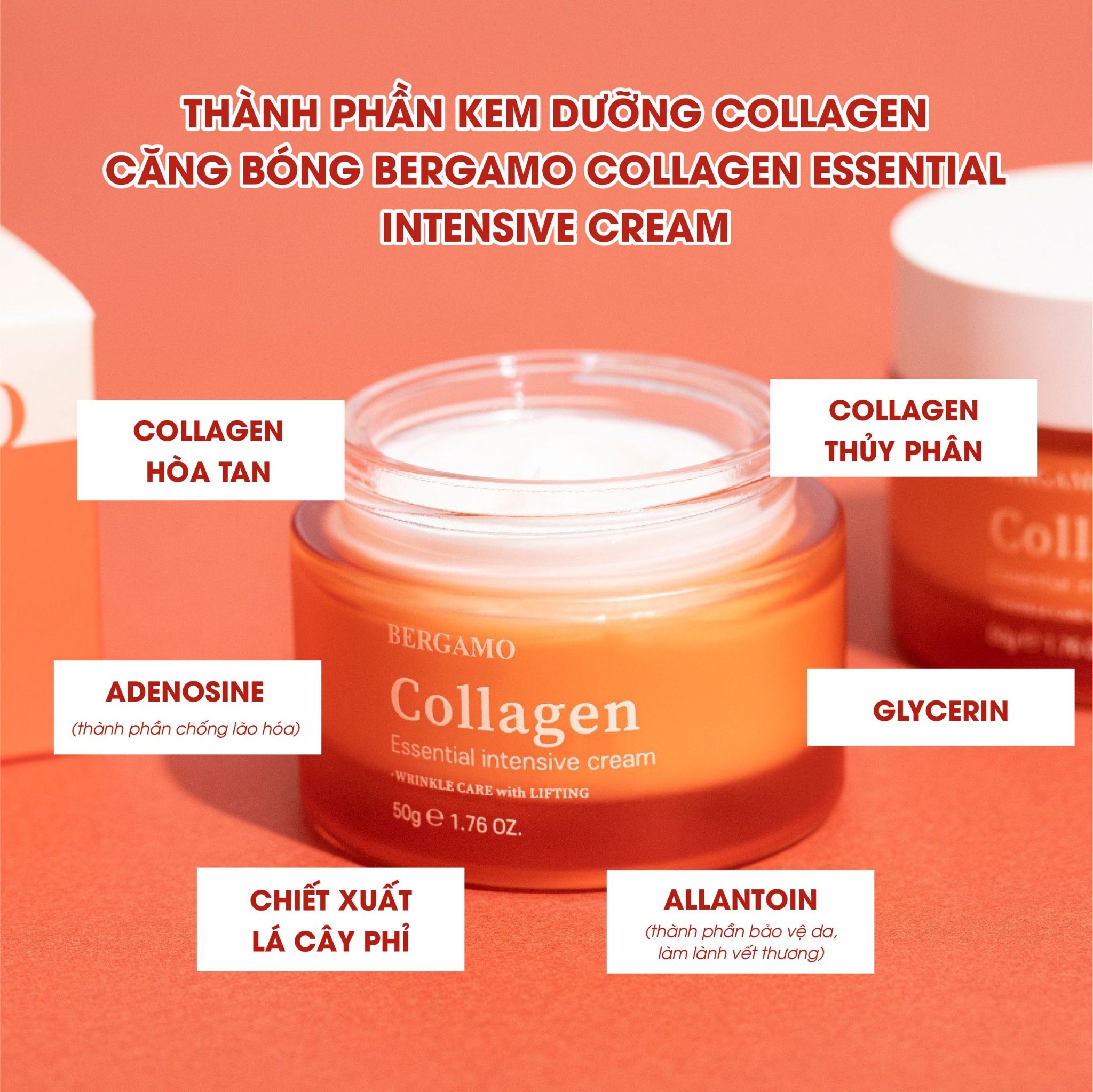 KEM DƯỠNG CĂNG BÓNG COLLAGEN BERGAMO COLLAGEN ESSENTIAL INTENSIVE CREAM 50G