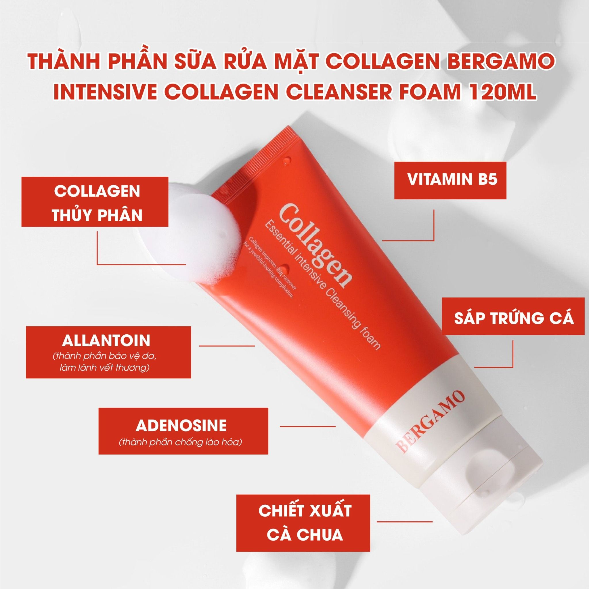 SỮA RỬA MẶT COLLAGEN BERGAMO INTENSIVE COLLAGEN CLEANSING FOAM 120ML