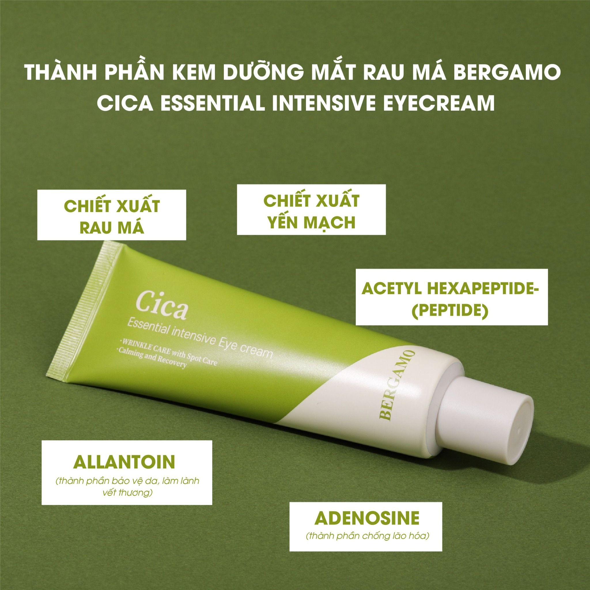 KEM DƯỠNG MẮT RAU MÁ BERGAMO CICA ESSENTIAL INTENSIVE EYE CREAM 100G