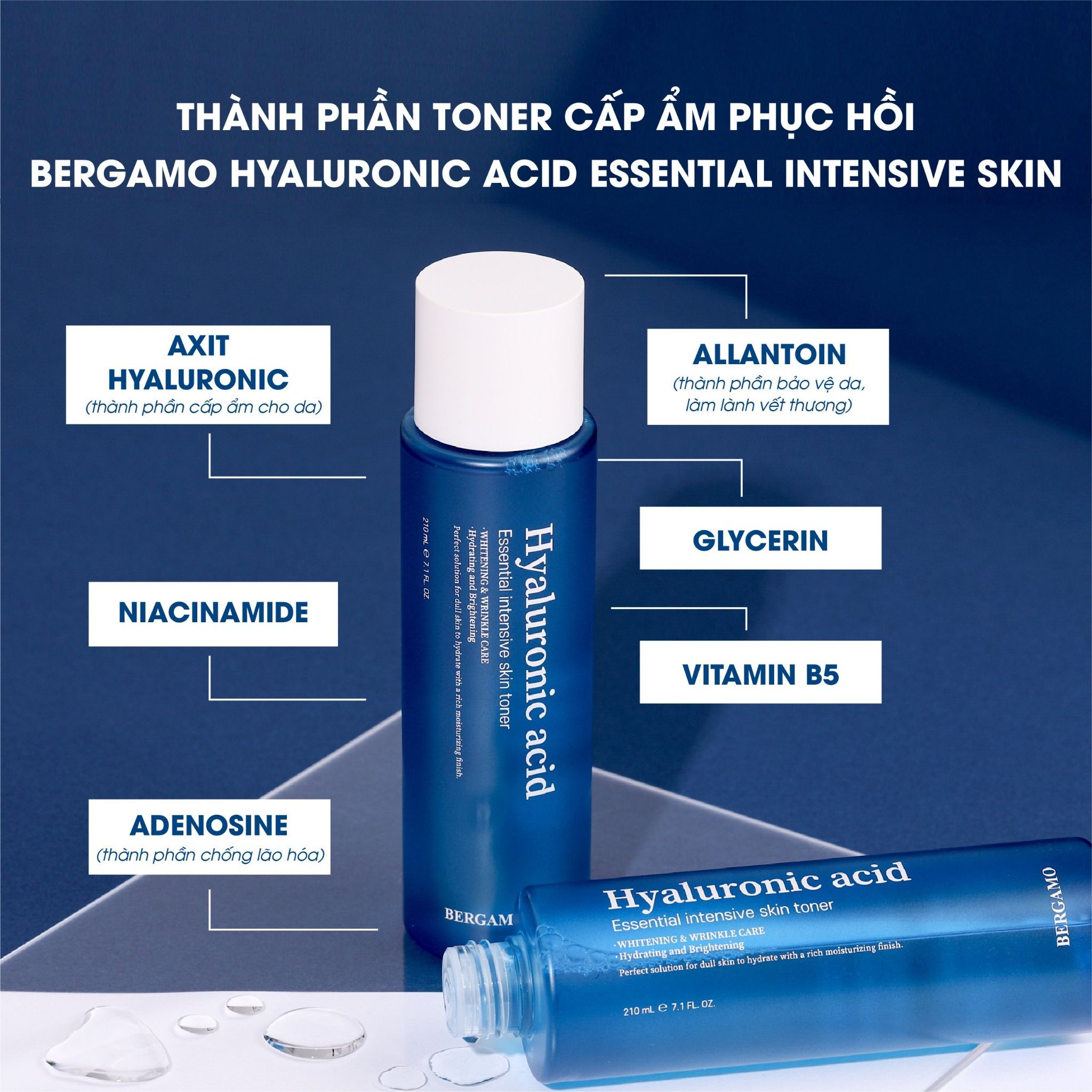 TONER CẤP ẨM HỖ TRỢ PHỤC HỒI BERGAMO HYALURONIC ACID ESSENTIAL INTENSIVE SKIN TONER 210ML
