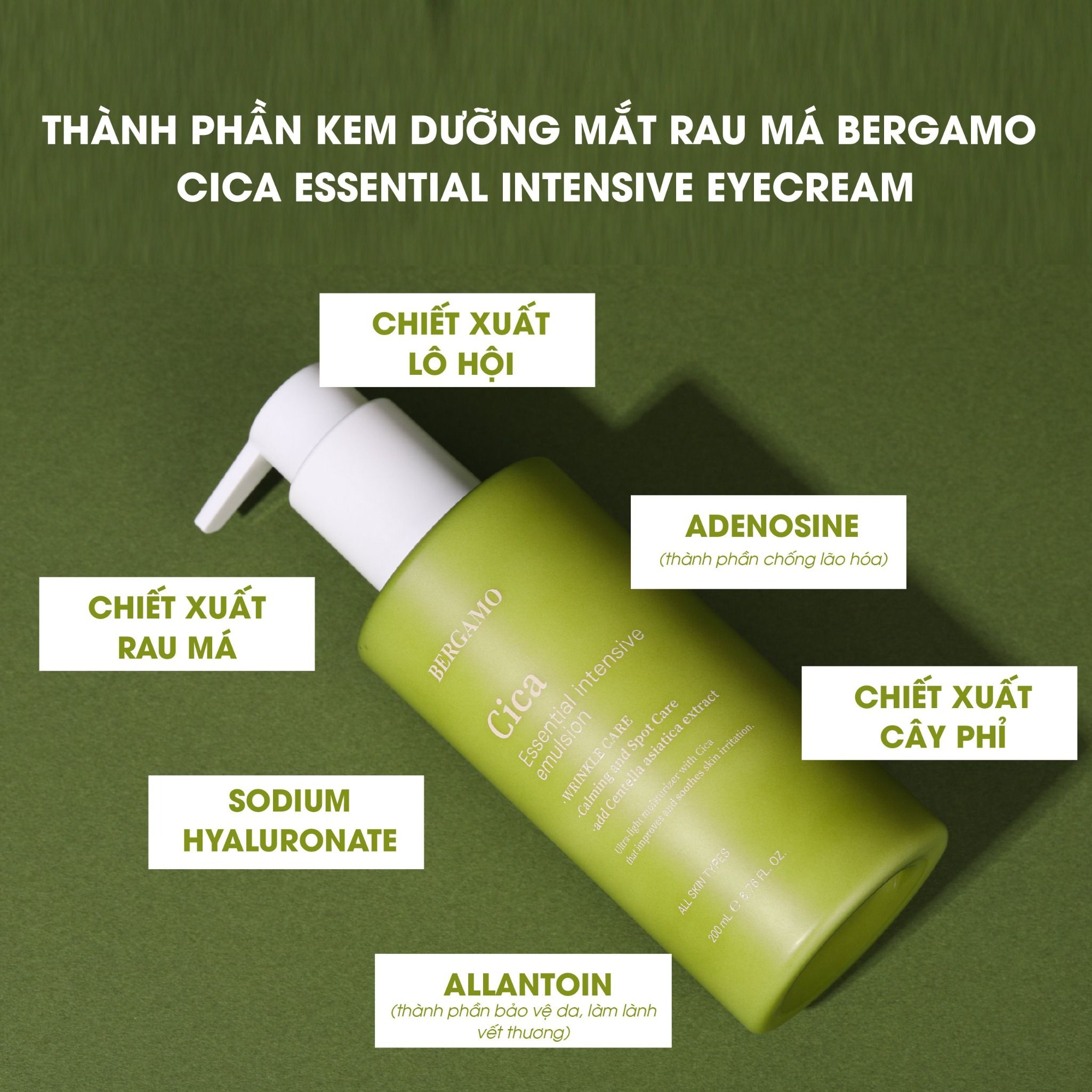 SỮA DƯỠNG DA RAU MÁ BERGAMO CICA ESSENTIAL INTENSIVE EMULSION