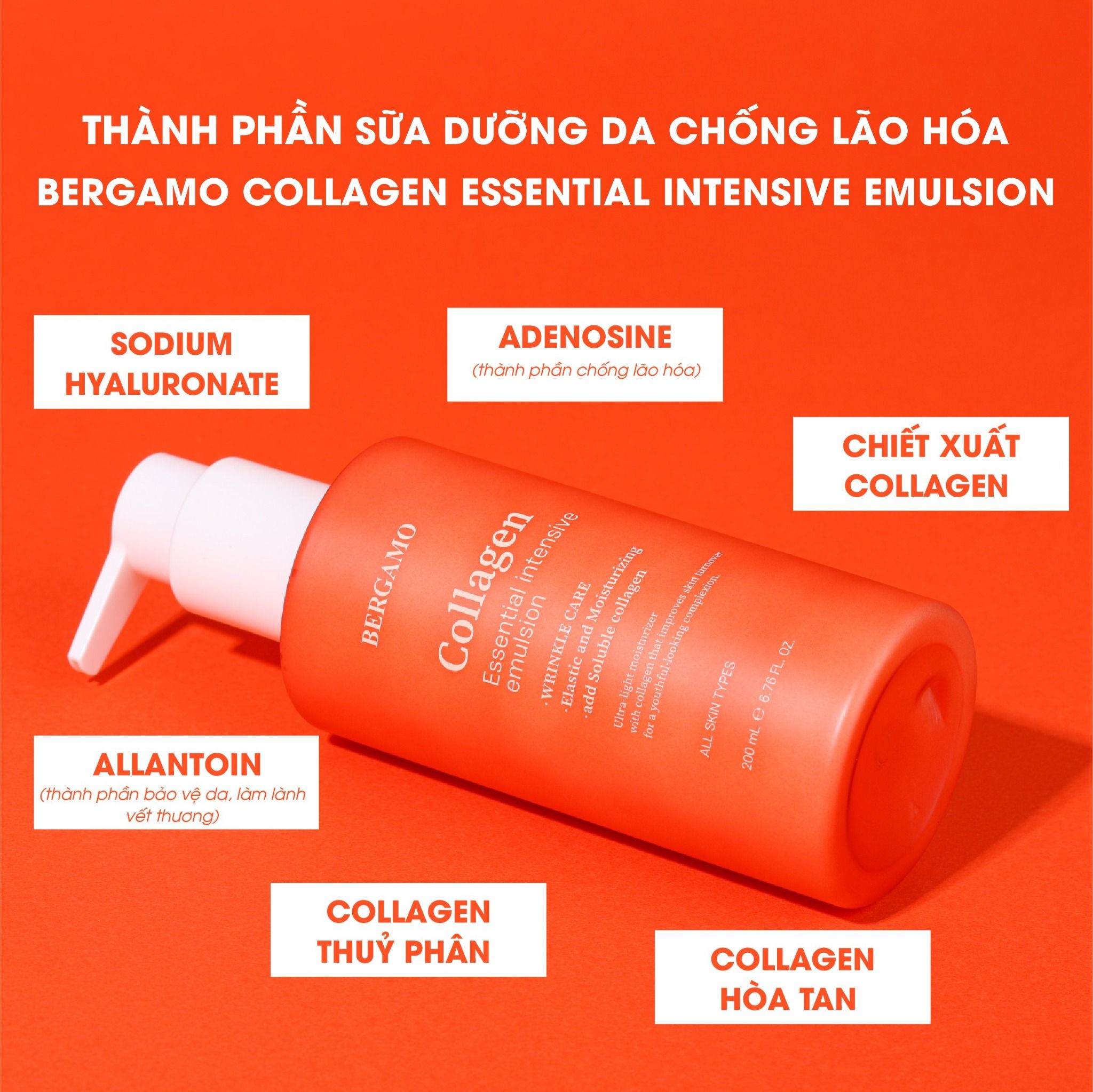 SỮA DƯỠNG DA CHỐNG LÃO HÓA BERGAMO COLLAGEN ESSENTIAL INTENSIVE EMULSION 200ML