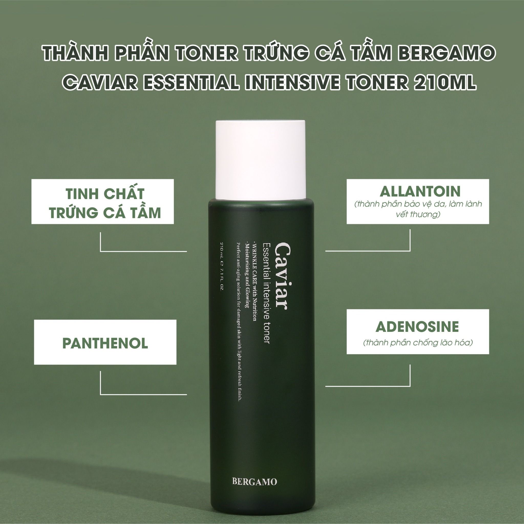 TONER TRỨNG CÁ TẦM BERGAMO CAVIAR ESSENTIAL INTENSIVE TONER 210ML