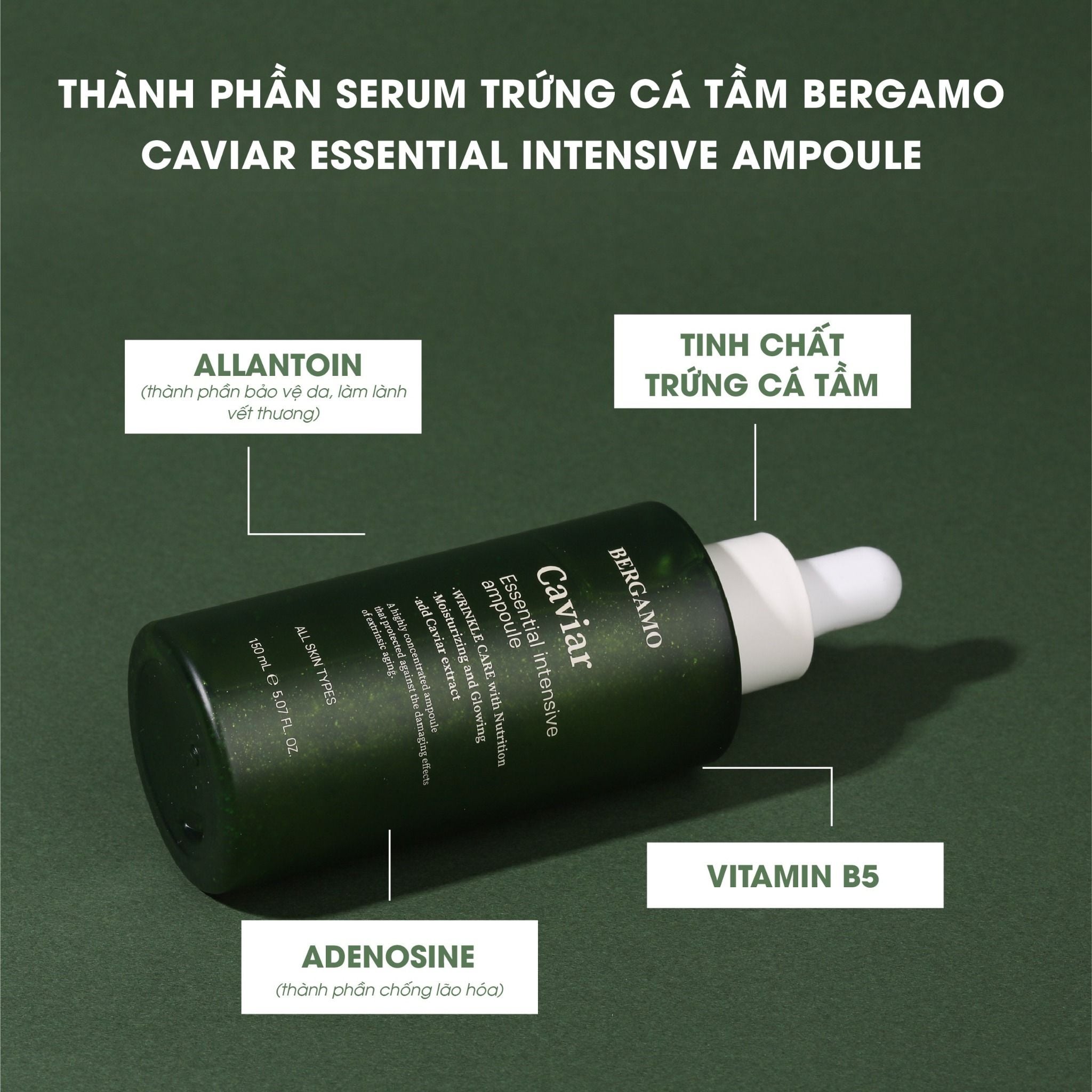 TINH CHẤT TRỨNG CÁ TẦM BERGAMO CAVIAR ESSENTIAL INTENSIVE AMPOULE