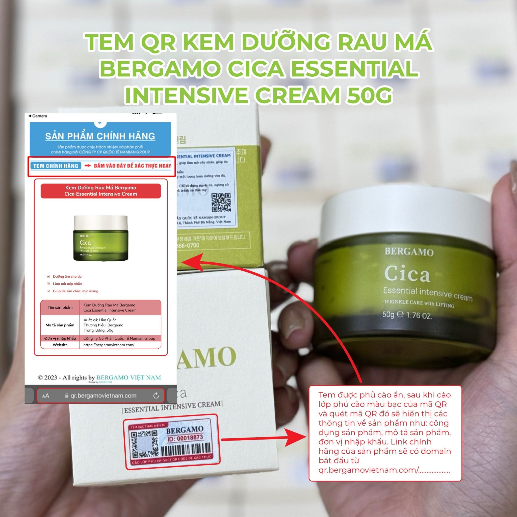 KEM DƯỠNG RAU MÁ BERGAMO CICA ESSENTIAL INTENSIVE CREAM 50G