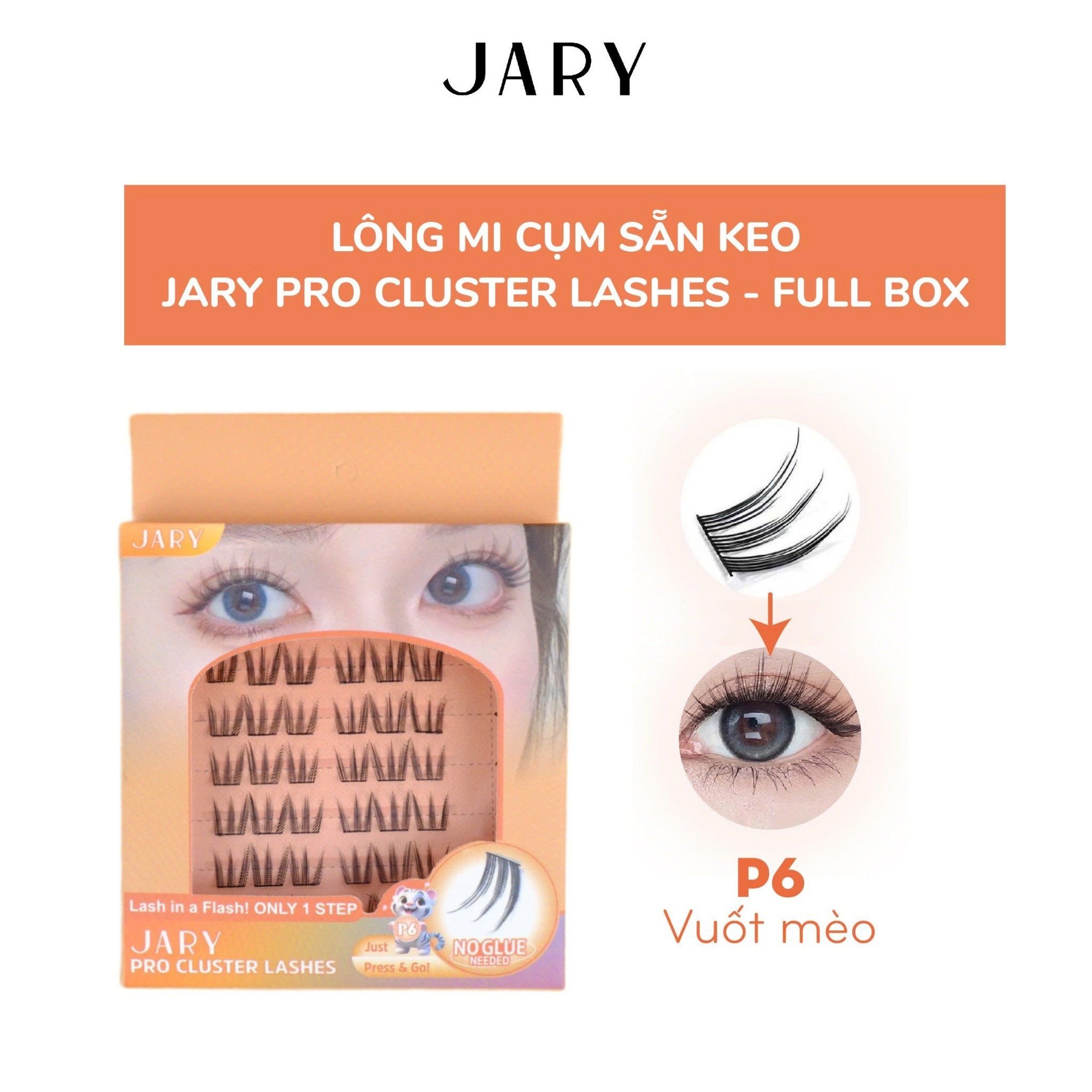 LÔNG MI CỤM CÓ SẴN KEO JARY PRO CLUSTER LASHES HỘP NHỰA 6 HÀNG - P6 VUỐT MÈO - FULLBOX
