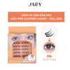 LÔNG MI CỤM CÓ SẴN KEO JARY PRO CLUSTER LASHES HỘP NHỰA 6 HÀNG - P6 VUỐT MÈO - FULLBOX