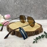  Kính mát SKECHERS Brown Navigator Men's Sunglasses 