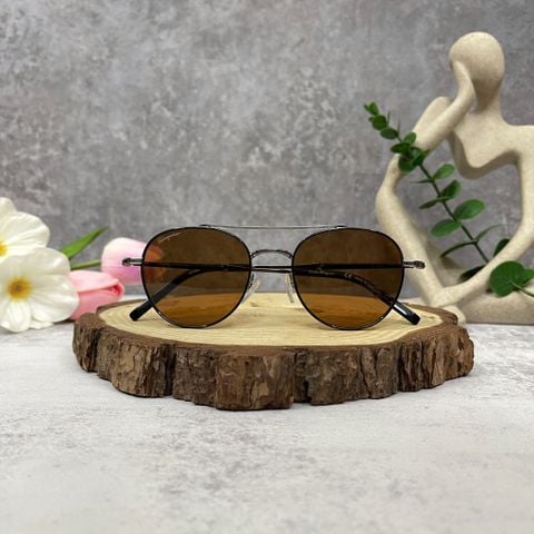  Mắt kính Ferragamo Brown Aviator Men 