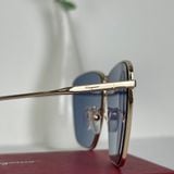  Mắt kính Ferra.gamo Blue Ladies Sunglasses 