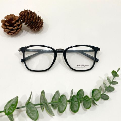  Mắt kính  Ferra.gamo Demo Lens Square Unisex 