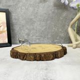  Mắt Kính Porsche Design P'8755 Men's Eyeglasses 