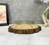  Mắt Kính Porsche Design P'8755 Men's Eyeglasses 