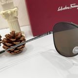  Mắt kính Ferra.gamo Dark Brown Aviator 