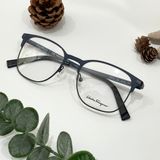  Mắt kính Ferragamo Demo Rectangular Unisex 