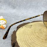  Mắt Kính Calvin Klein Brown Gradient Pilot Unisex Sunglasses 