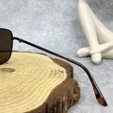  Mắt Kính Calvin Klein Brown Navigator Men's Sunglasses 