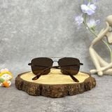  Mắt Kính Calvin Klein Brown Navigator Men's Sunglasses 