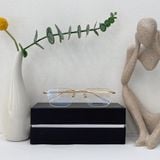  Mắt kính Monblanc Established MB0169O 