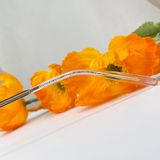  Mắt kính Monblanc Established MB0169O 