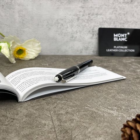  Bút Meisterstück Platinum-Coated Rollerball - BUT40 