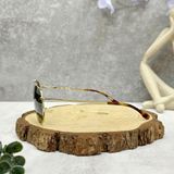  Mắt Kính Nam Lacoste Grey Pilot Unisex Sunglasses 